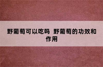 野葡萄可以吃吗  野葡萄的功效和作用